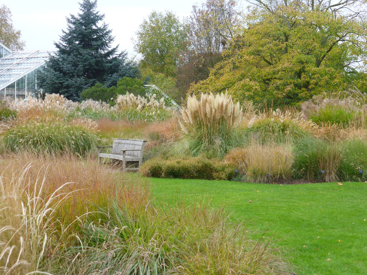 The grass beds