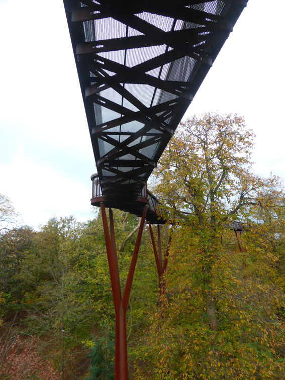 Tree-top walkway