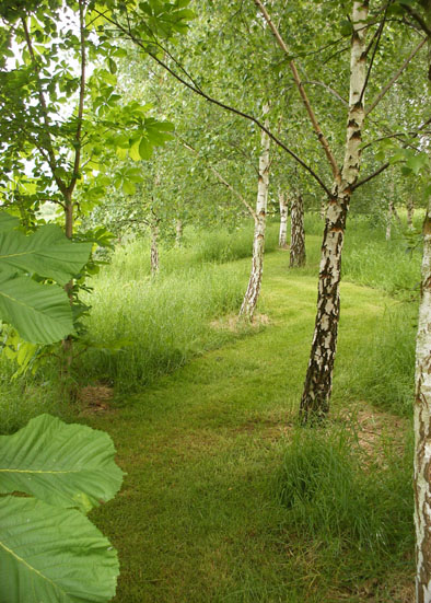 The Wire Urn amongst trees.