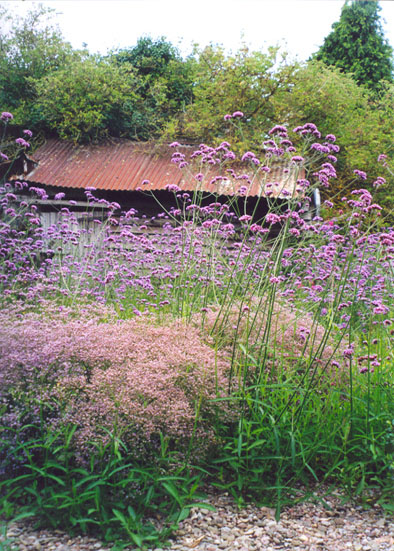 The Crooked Barn; the rickety old hen house.